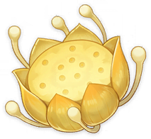 nilotpala_lotus